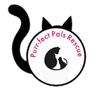 Purr-Fect Pals